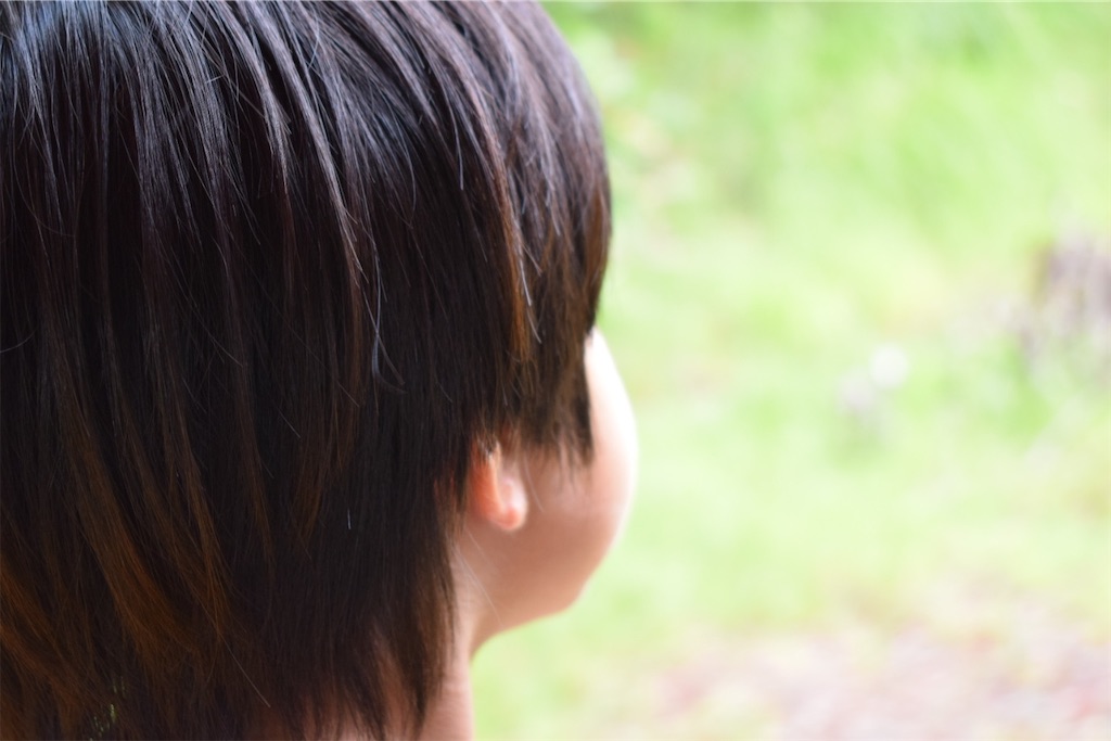 f:id:torch2:20200924044009j:image