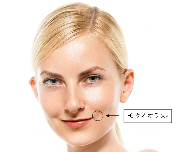 f:id:torebeauty:20190317102050p:plain