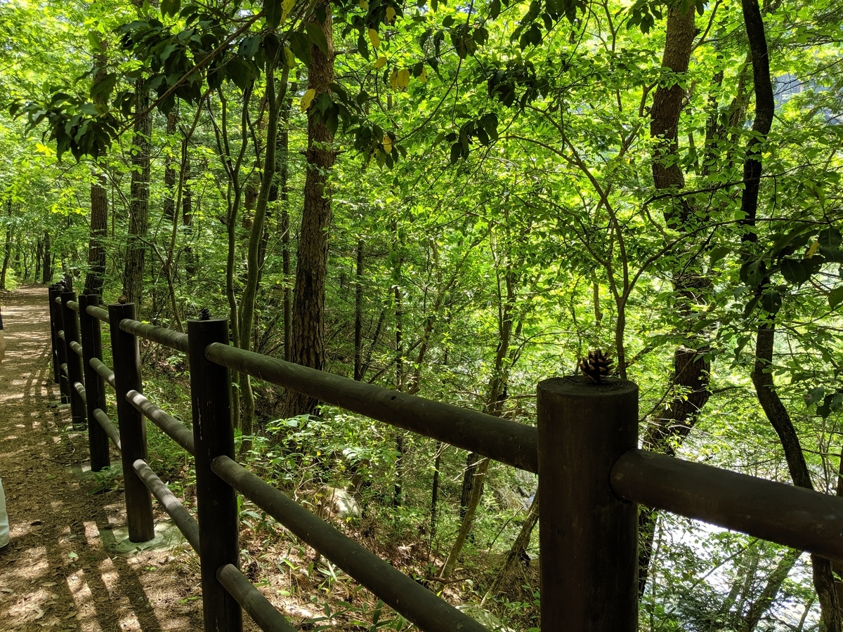 f:id:toremor:20190611203651j:plain