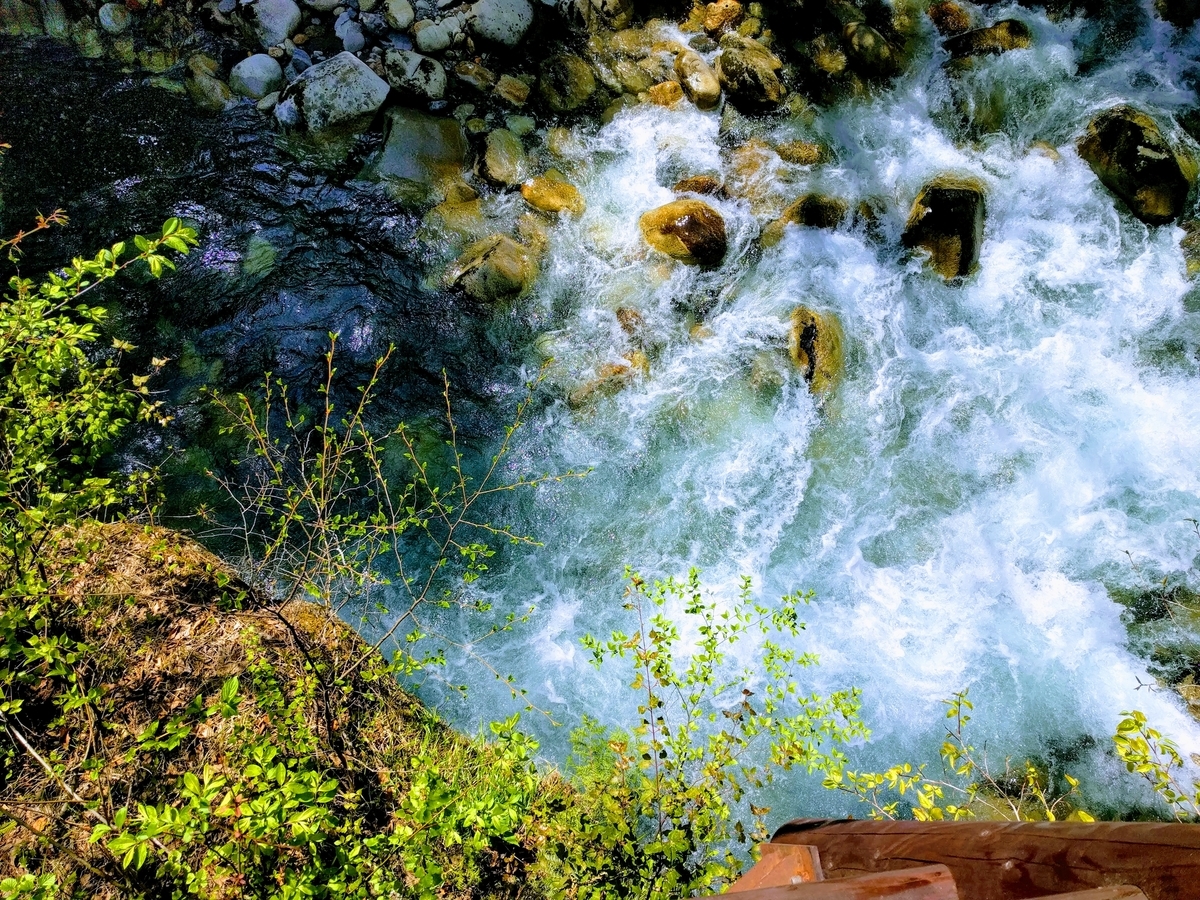 f:id:toremor:20190611203916j:plain