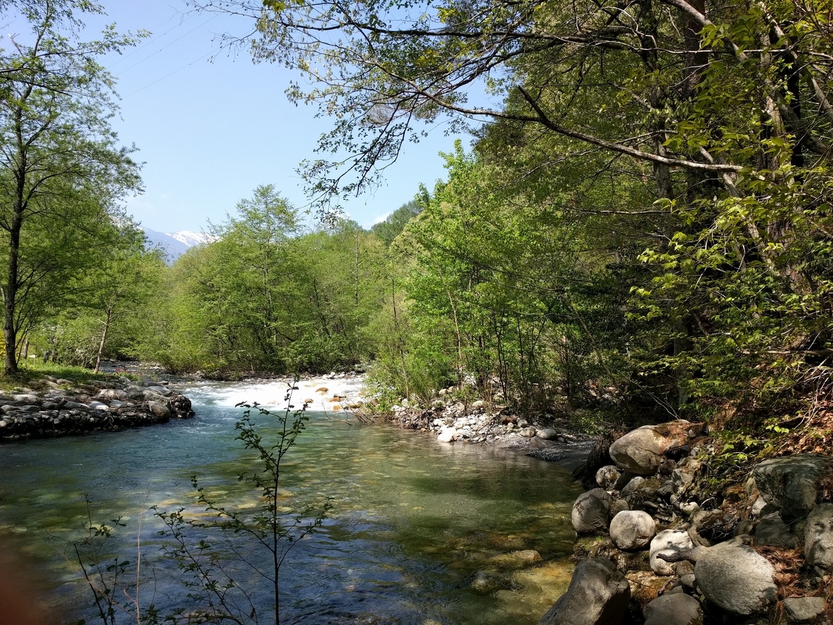 f:id:toremor:20190611203947j:plain