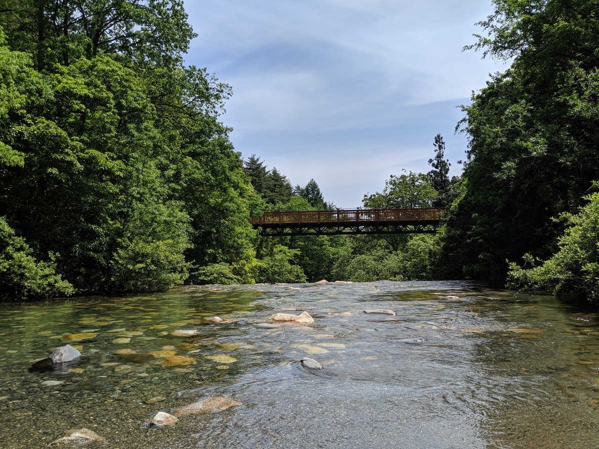 f:id:toremor:20190611211645j:plain