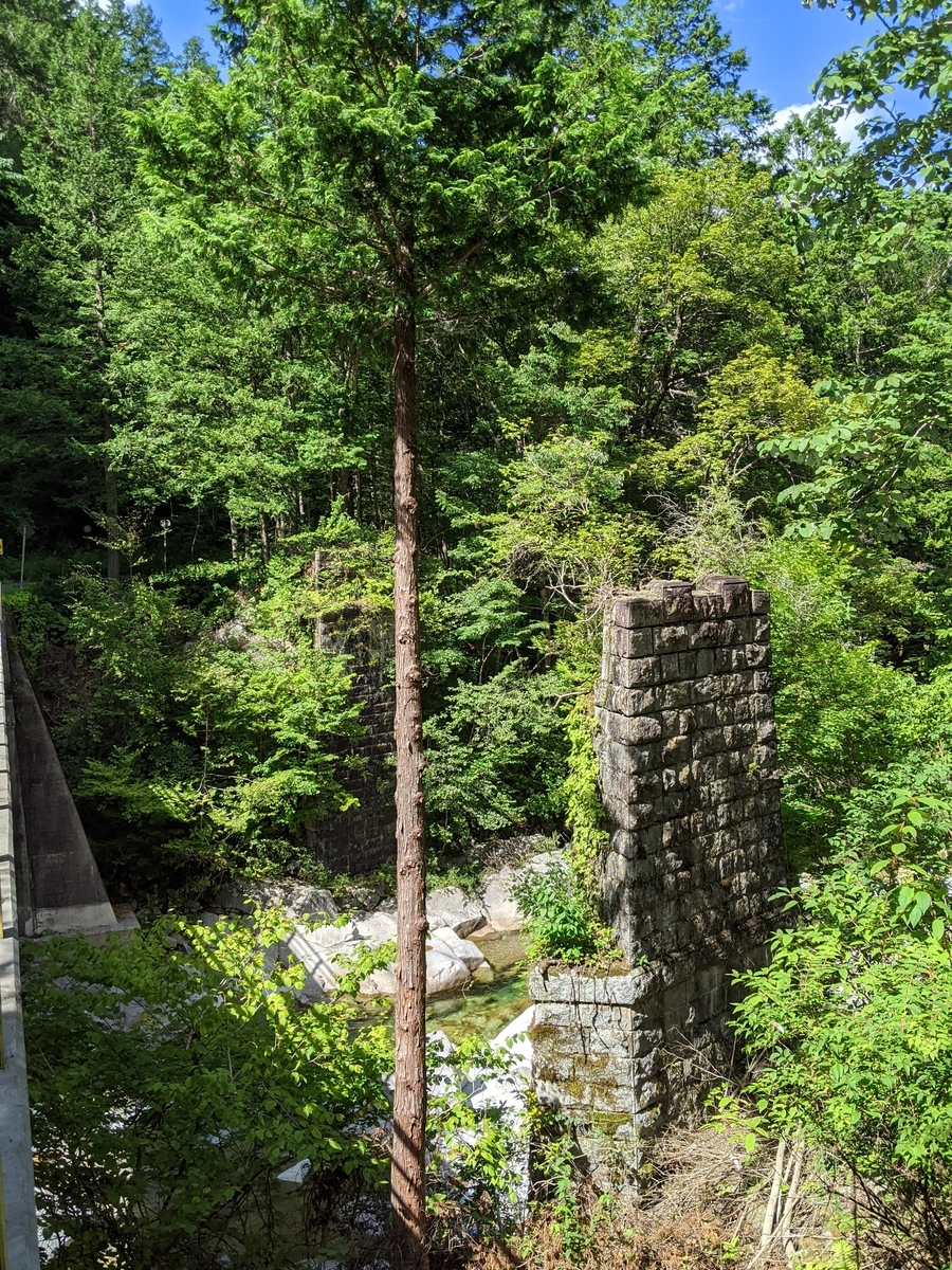 f:id:toremor:20200814220651j:plain