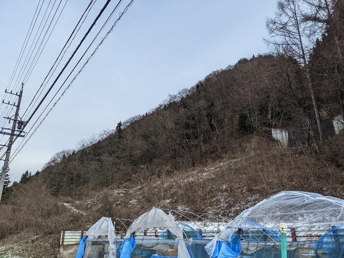 f:id:toremor:20201229110249j:plain