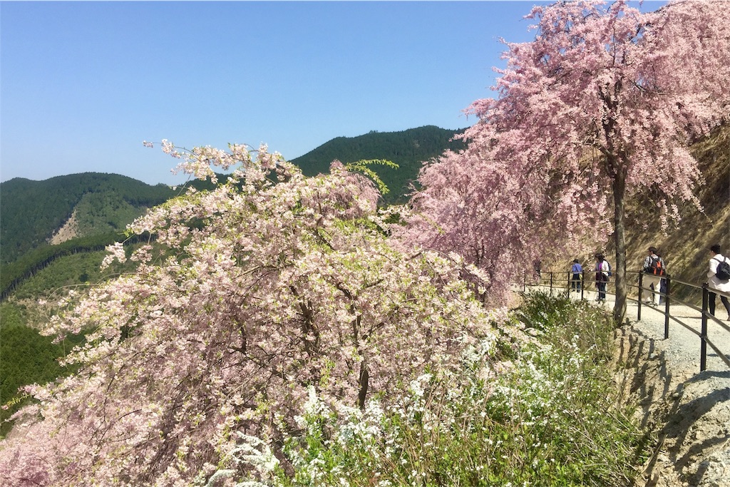 f:id:tori-planet:20180418194517j:image f:id:tori-planet:20180418194517j:image