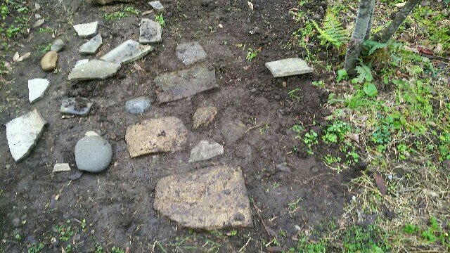 f:id:tori1212kun:20170131111938j:image