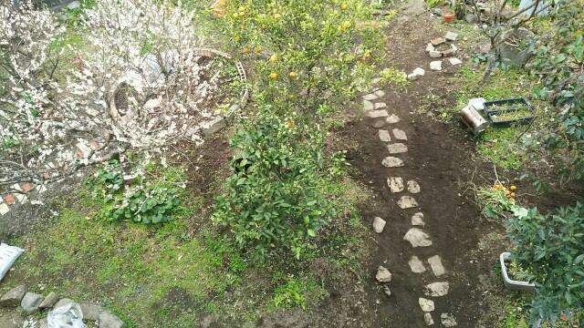 f:id:tori1212kun:20170227214007j:plain f:id:tori1212kun:20170227214007j:plain
