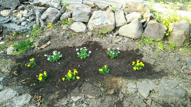 f:id:tori1212kun:20180121164342j:image