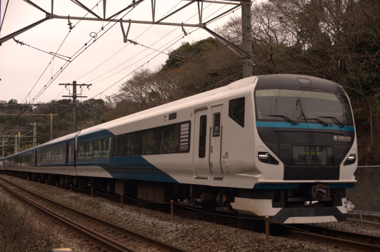 ツアーで復活「マリンエクスプレス踊り子」 - 西さがみ改札口