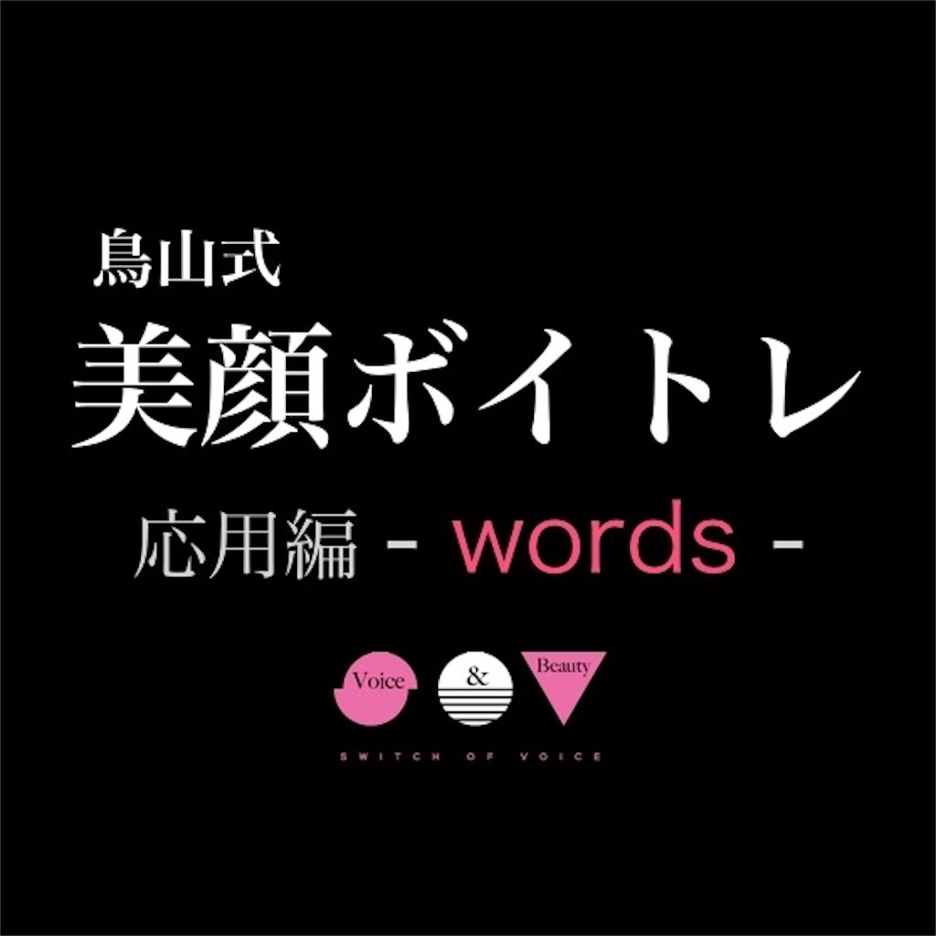 f:id:tori_bigan:20190214133400j:image