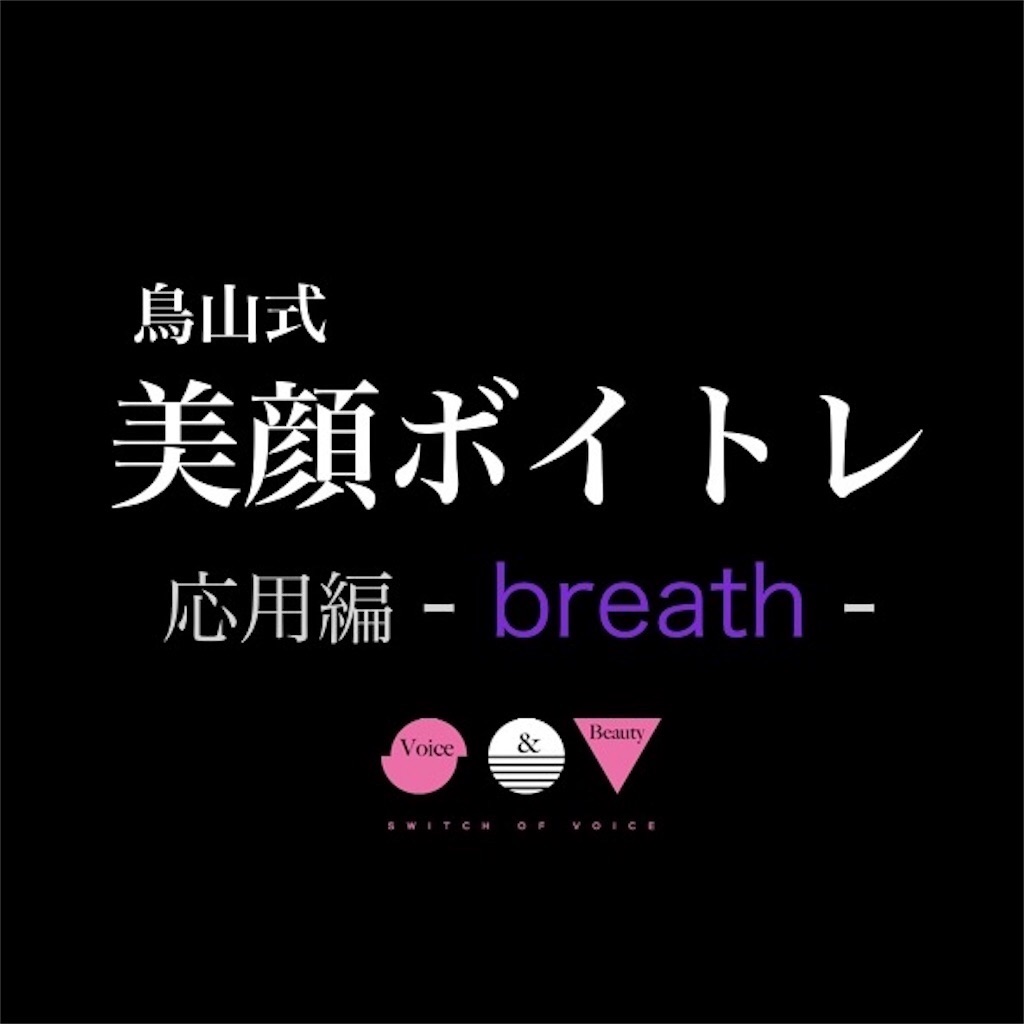 f:id:tori_bigan:20190215125428j:image