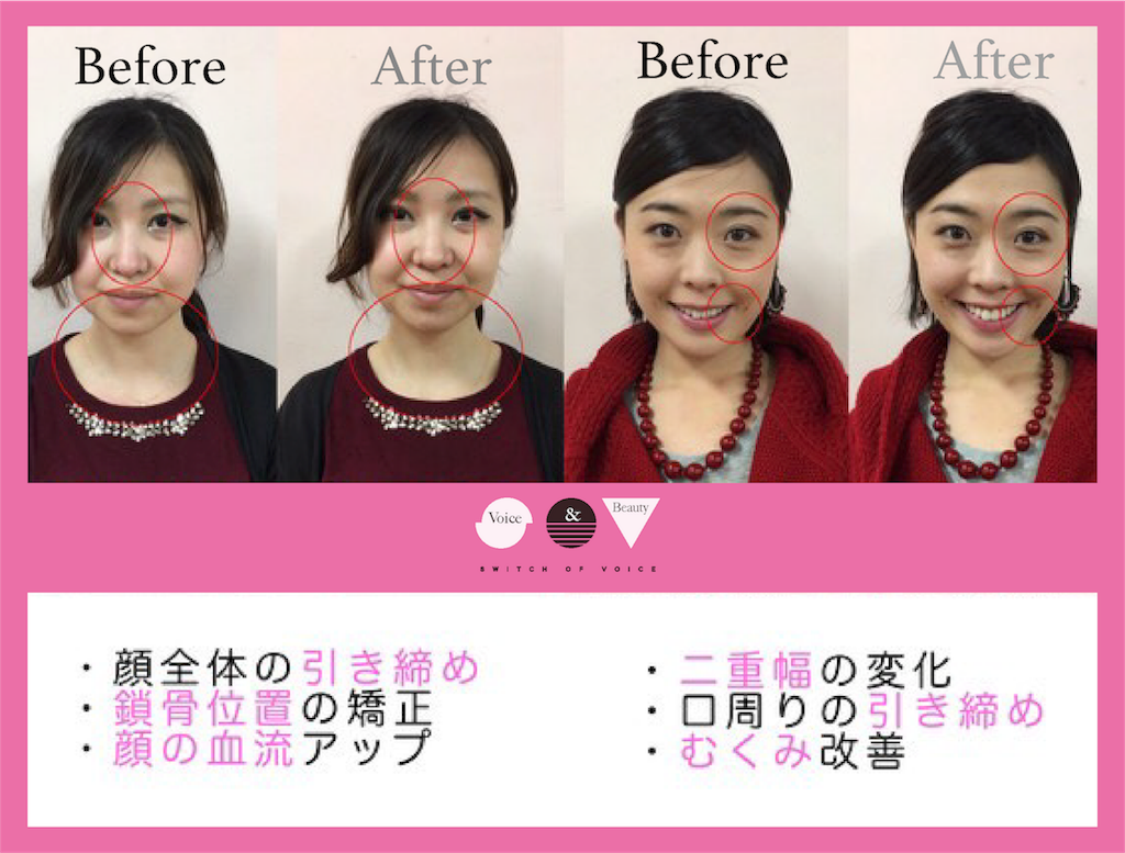 f:id:tori_bigan:20190215131103p:image