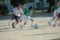 20061008150434 20061008150434