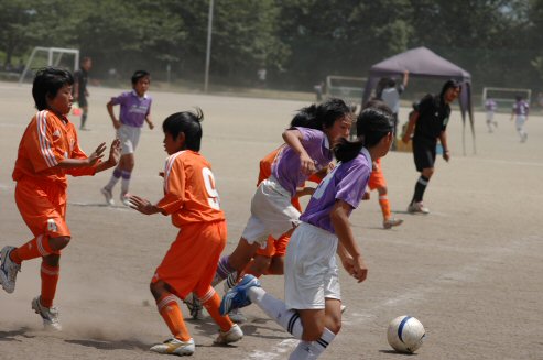20070812113336