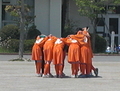 20090429113948