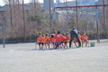 20190127142012