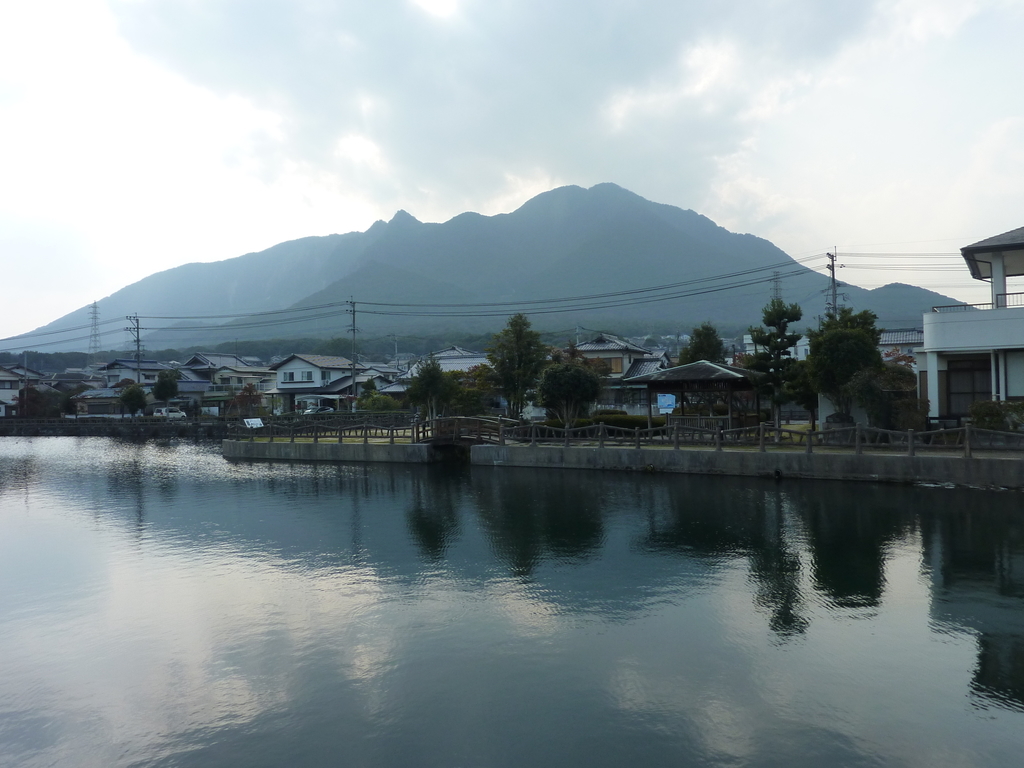 f:id:toriaezunyuuintyuudake:20190301233142j:plain
