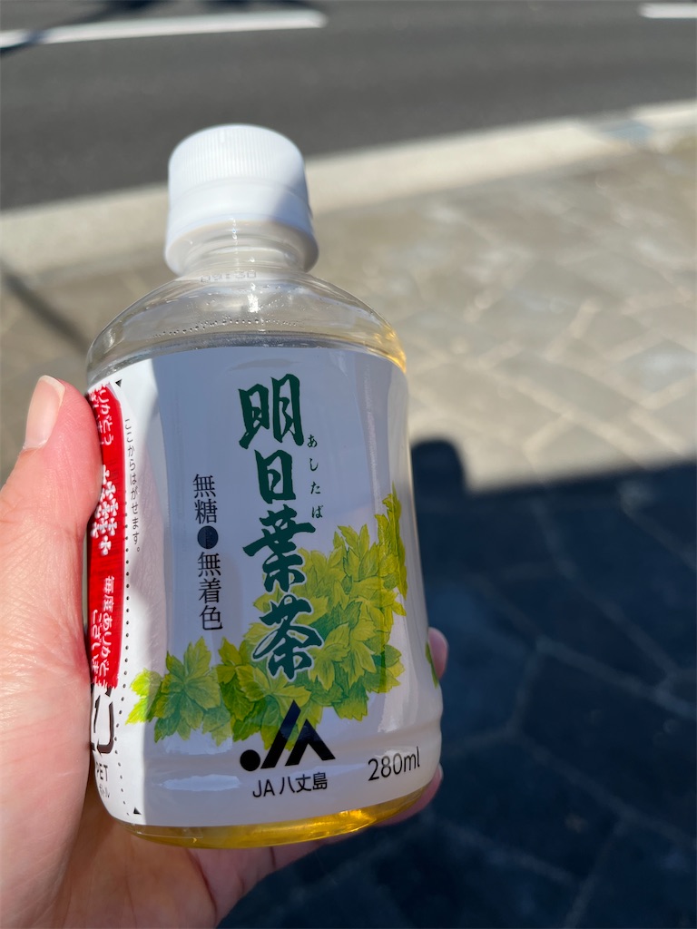 f:id:toriatama35:20231023213036j:image