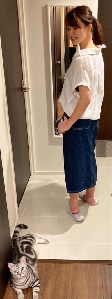 f:id:toriblogtkn:20200614225317j:image