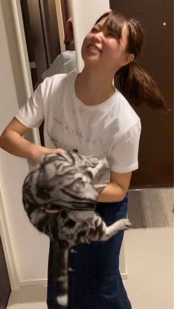 f:id:toriblogtkn:20200614225526j:image