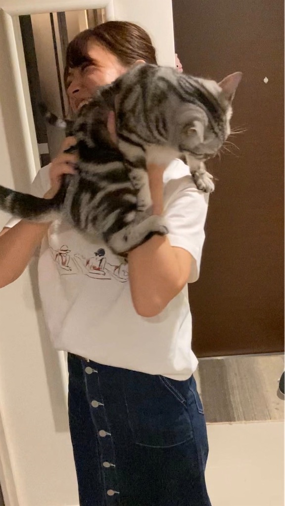 f:id:toriblogtkn:20200614225548j:image