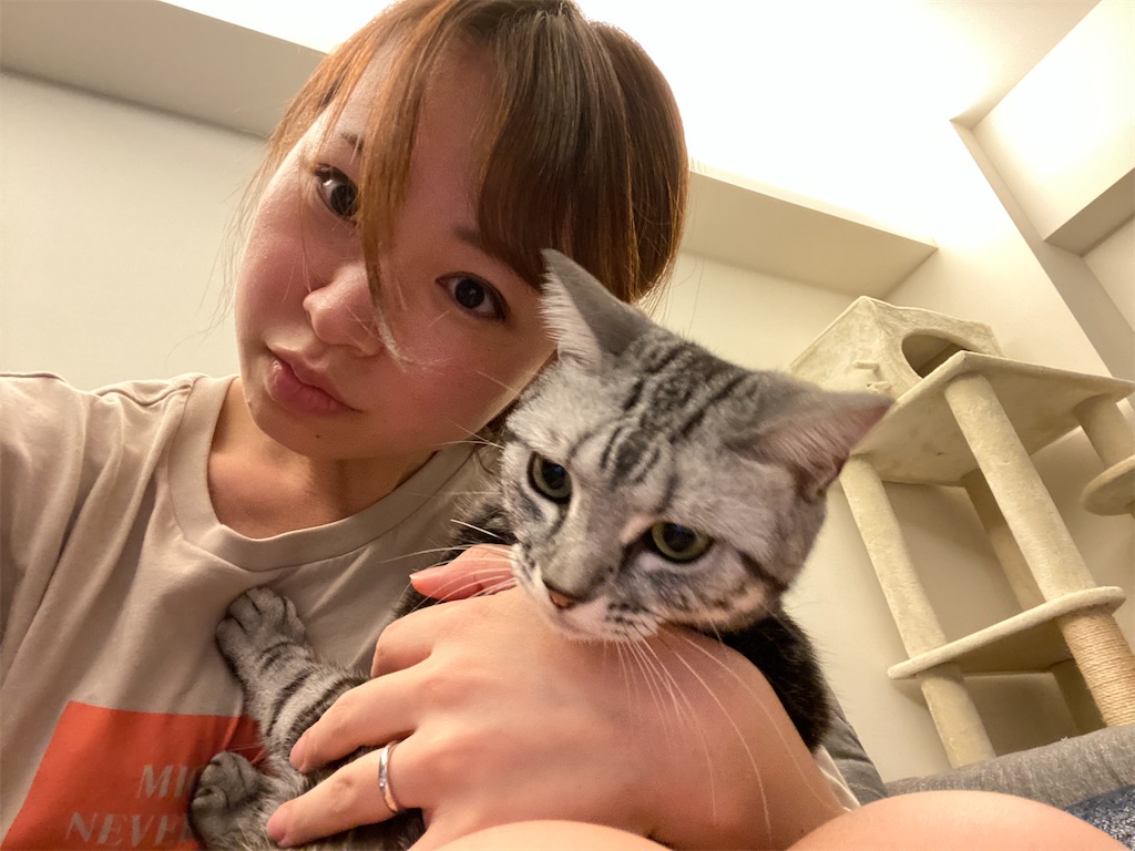 f:id:toriblogtkn:20200616234625j:image