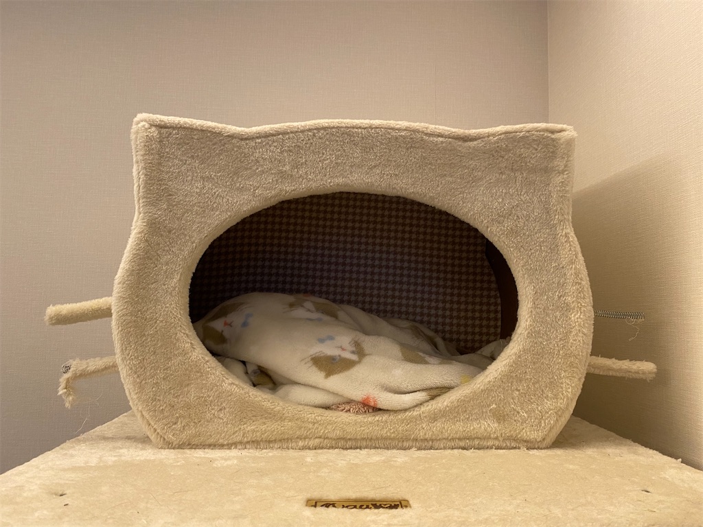 f:id:toriblogtkn:20200621012954j:plain