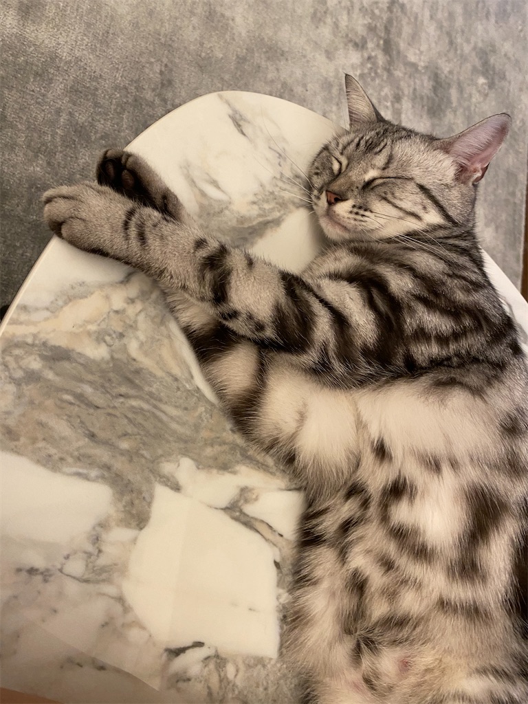 f:id:toriblogtkn:20200621023703j:image