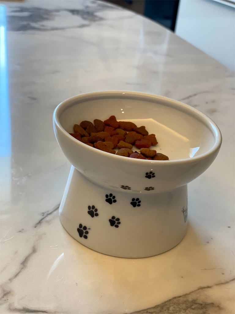 f:id:toriblogtkn:20200630000050j:image