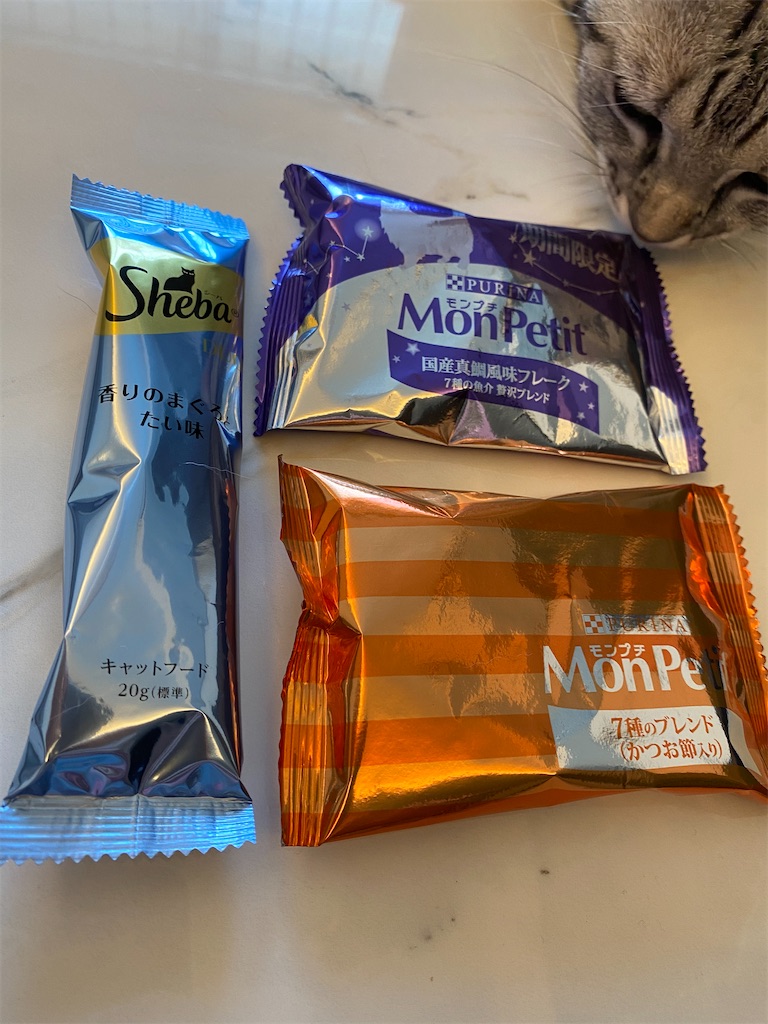 f:id:toriblogtkn:20200701002149j:image