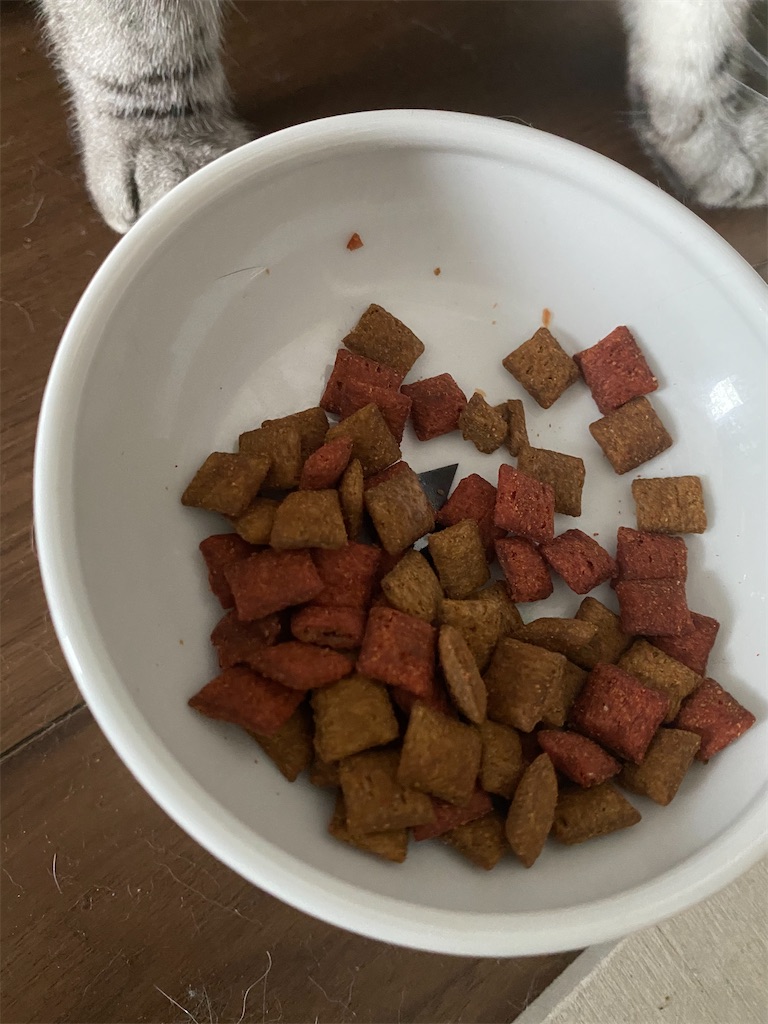 f:id:toriblogtkn:20200703010028j:image