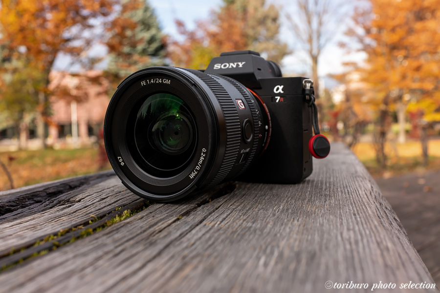 SONY FE 24mm F1.4 GM SEL24F14GM を導入しました - 六時のおやつ