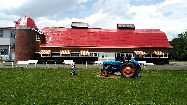 f:id:torichan3939:20190523151830j:plain