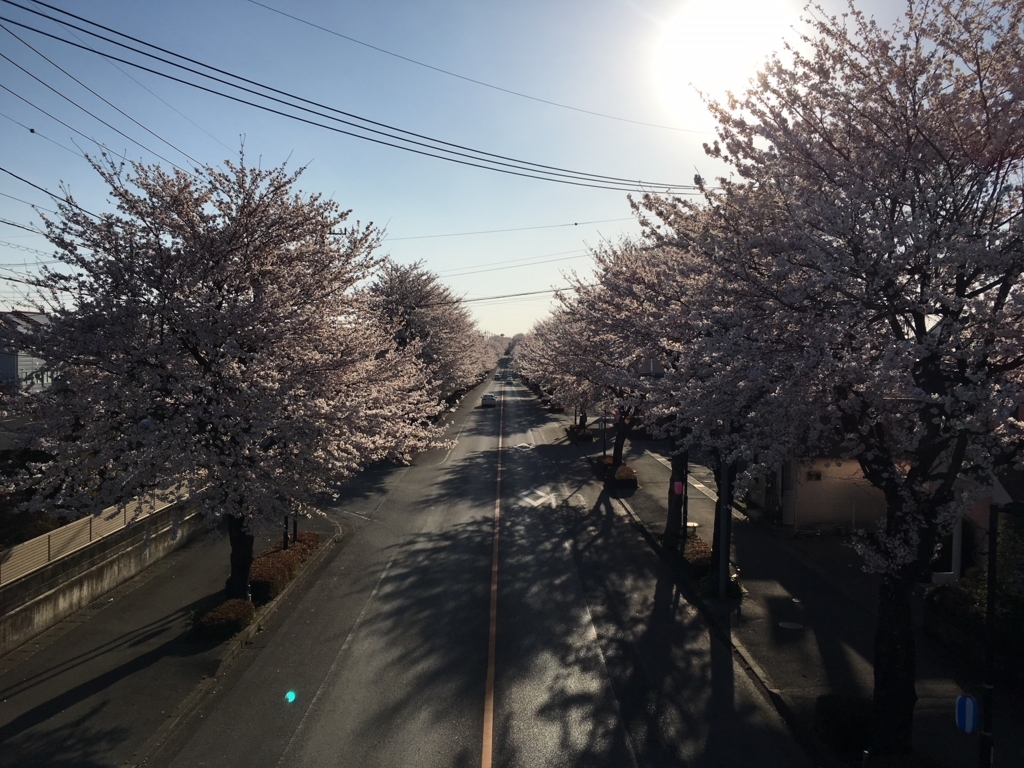 f:id:toriid:20180331202727j:plain f:id:toriid:20180331202727j:plain