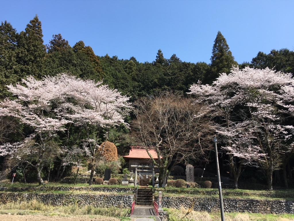 f:id:toriid:20180331203515j:plain f:id:toriid:20180331203515j:plain