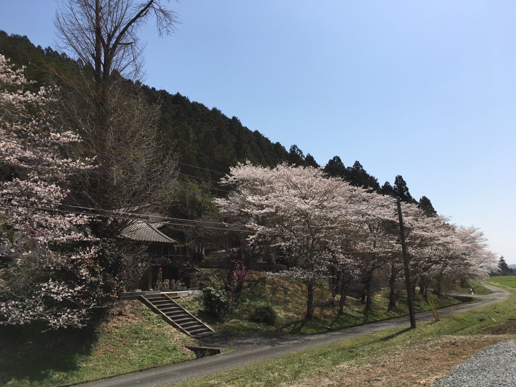f:id:toriid:20180331203919j:plain f:id:toriid:20180331203919j:plain