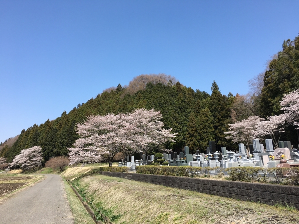 f:id:toriid:20180331204057j:plain f:id:toriid:20180331204057j:plain