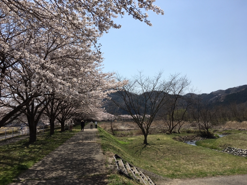 f:id:toriid:20180331204401j:plain f:id:toriid:20180331204401j:plain