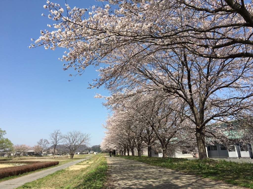 f:id:toriid:20180331204419j:plain f:id:toriid:20180331204419j:plain