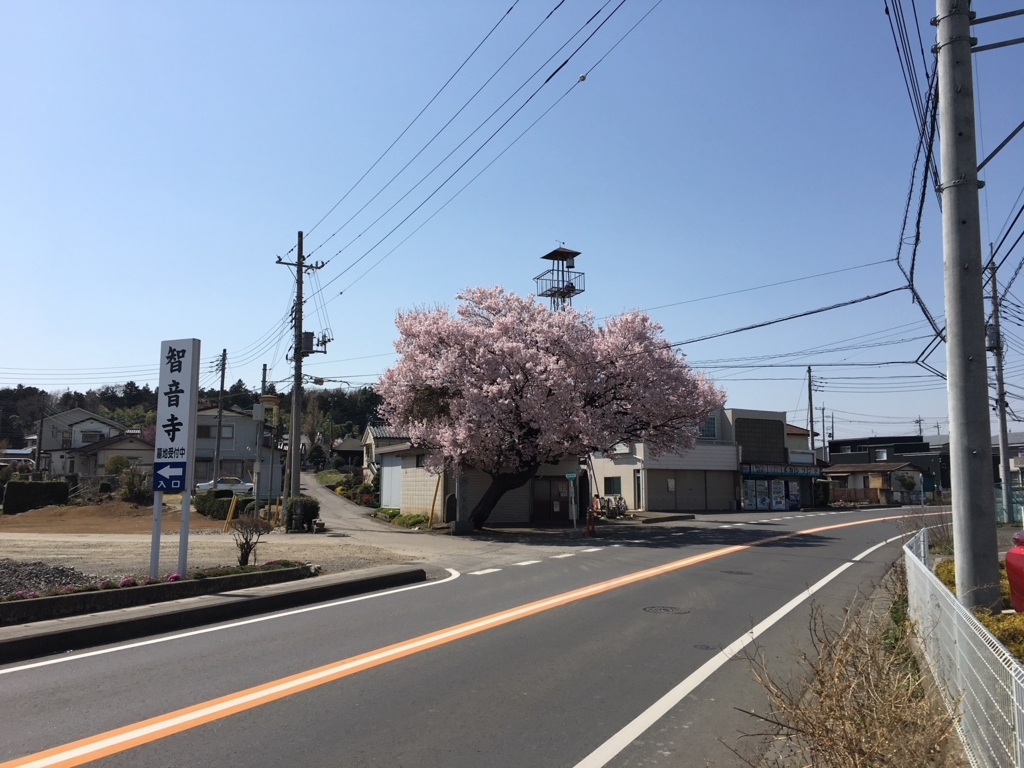 f:id:toriid:20180331204625j:plain f:id:toriid:20180331204625j:plain