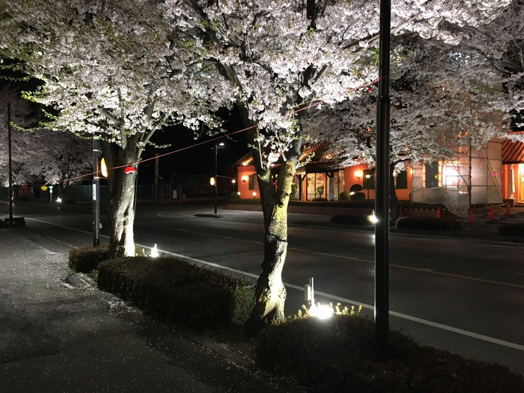 f:id:toriid:20180402220156j:plain f:id:toriid:20180402220156j:plain