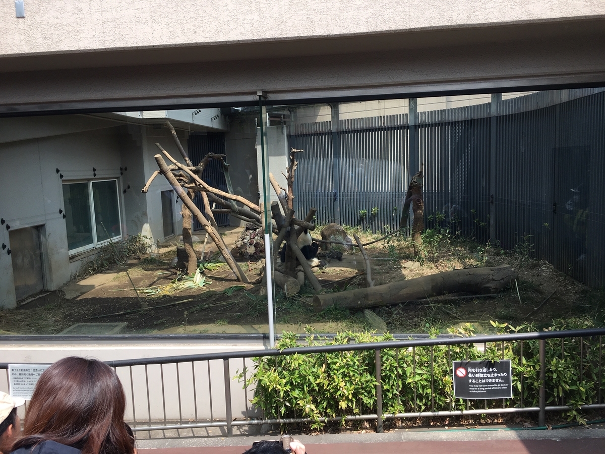 f:id:toriid:20190505190818j:plain f:id:toriid:20190505190818j:plain