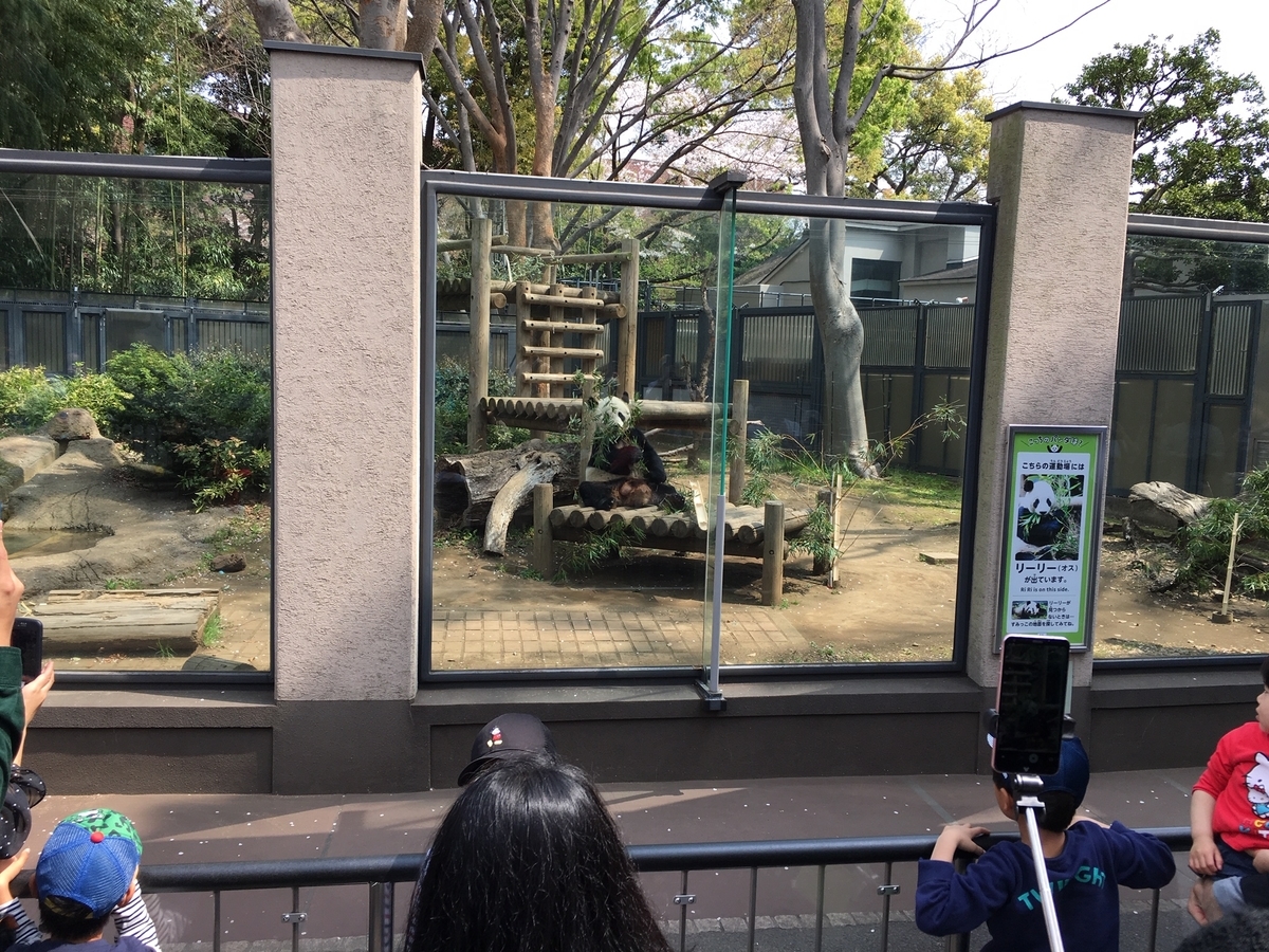 f:id:toriid:20190505191248j:plain f:id:toriid:20190505191248j:plain