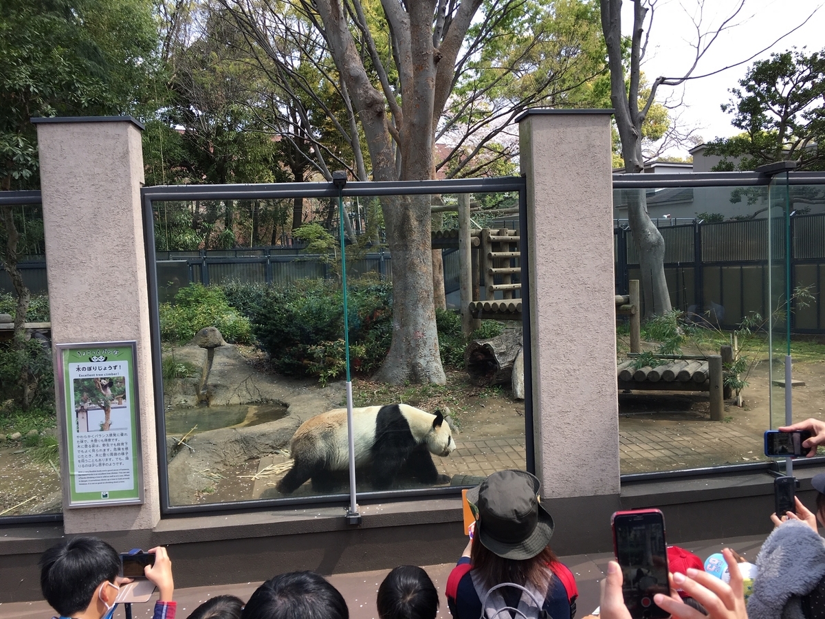 f:id:toriid:20190505191501j:plain f:id:toriid:20190505191501j:plain