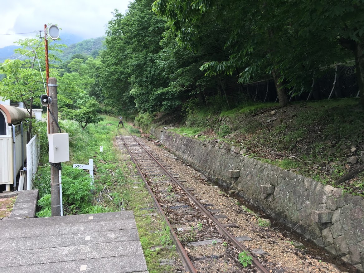 f:id:toriid:20190623211535j:plain f:id:toriid:20190623211535j:plain