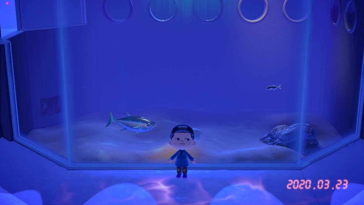 f:id:toriid:20200324061316j:plain