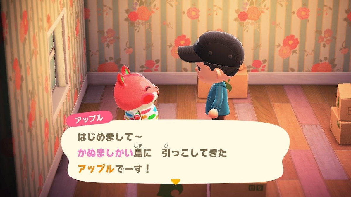 時間 たぬき 商店
