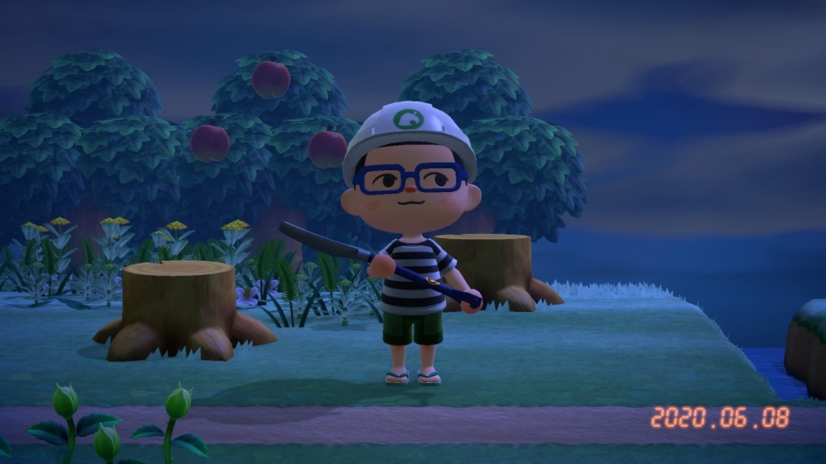 f:id:toriid:20200609063435j:plain