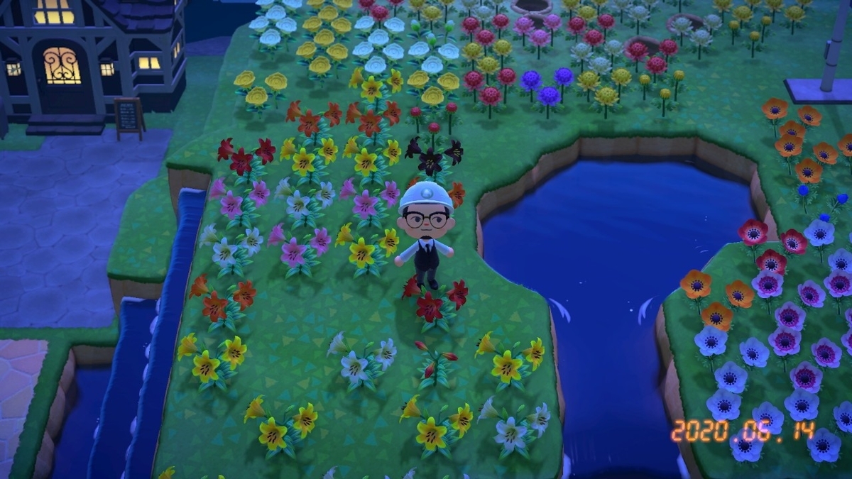 f:id:toriid:20200615071358j:plain f:id:toriid:20200615071358j:plain