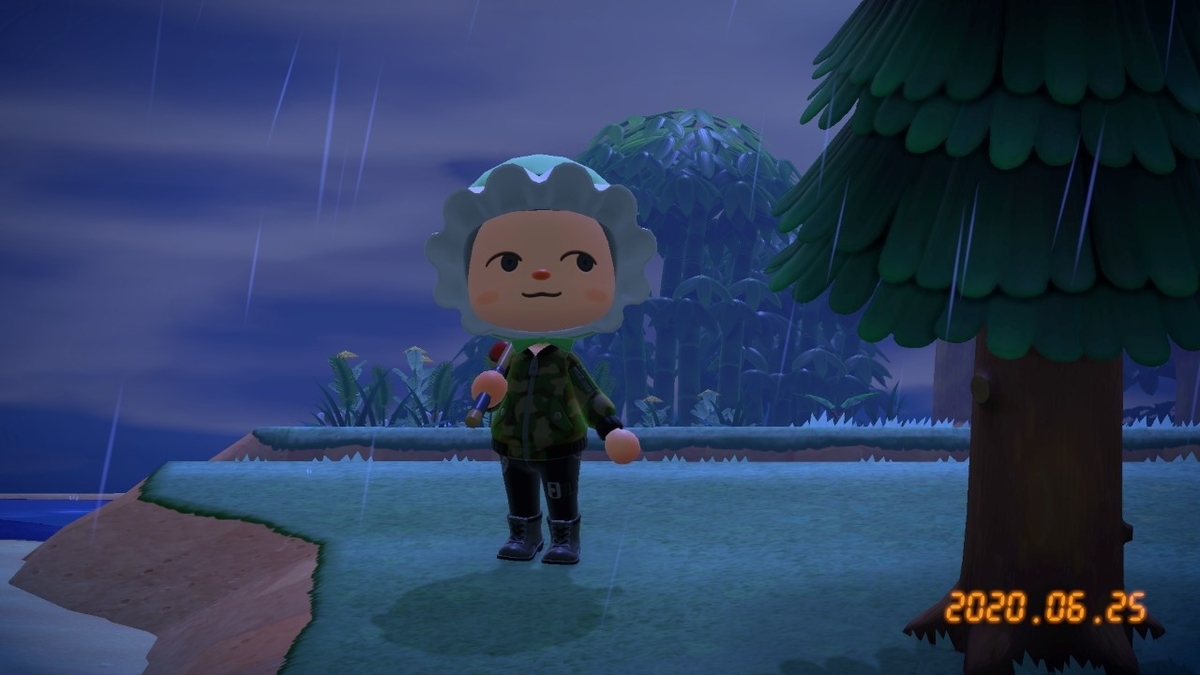 f:id:toriid:20200626070043j:plain f:id:toriid:20200626070043j:plain